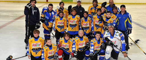 The ice hockey injury a case study in physiology answers picture